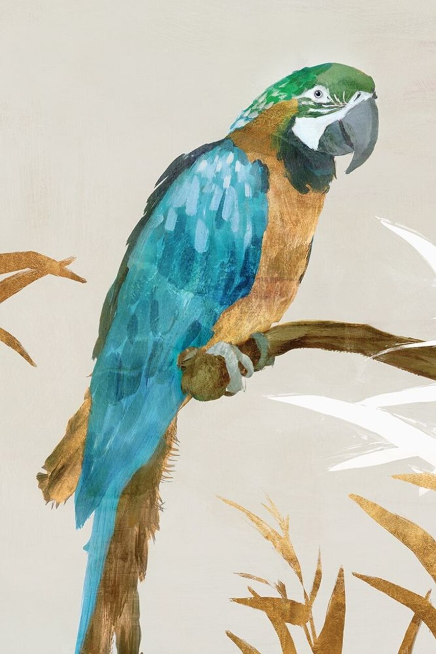 Blue Parrot I Poster Print by Isabelle Z - Item # VARPDXEZ165A